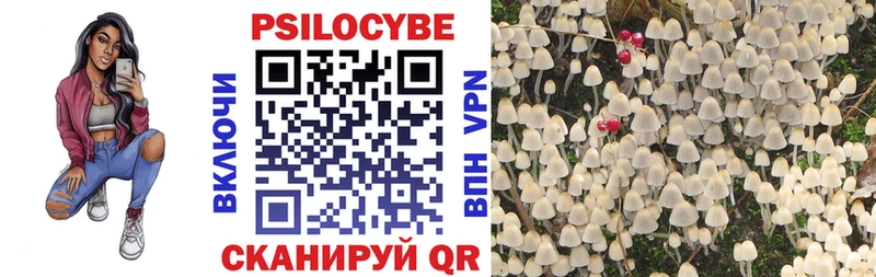 где можно купить Усть-Кут Псилоцибиновые грибы Psilocybe